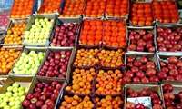 میوه شب عید استان کرمان در حال تامین است